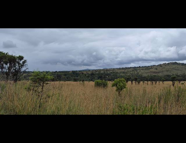 37.90HA FARM FOR SALE IN MODDERFONTEIN AH